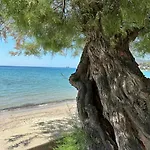 Les Sablettes Vue شقة