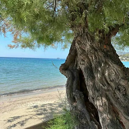 Les Sablettes Vue Διαμέρισμα